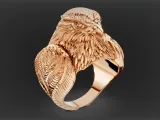 Eagle Ring-8