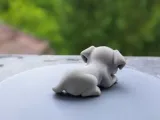 Cute Baby Dog-3