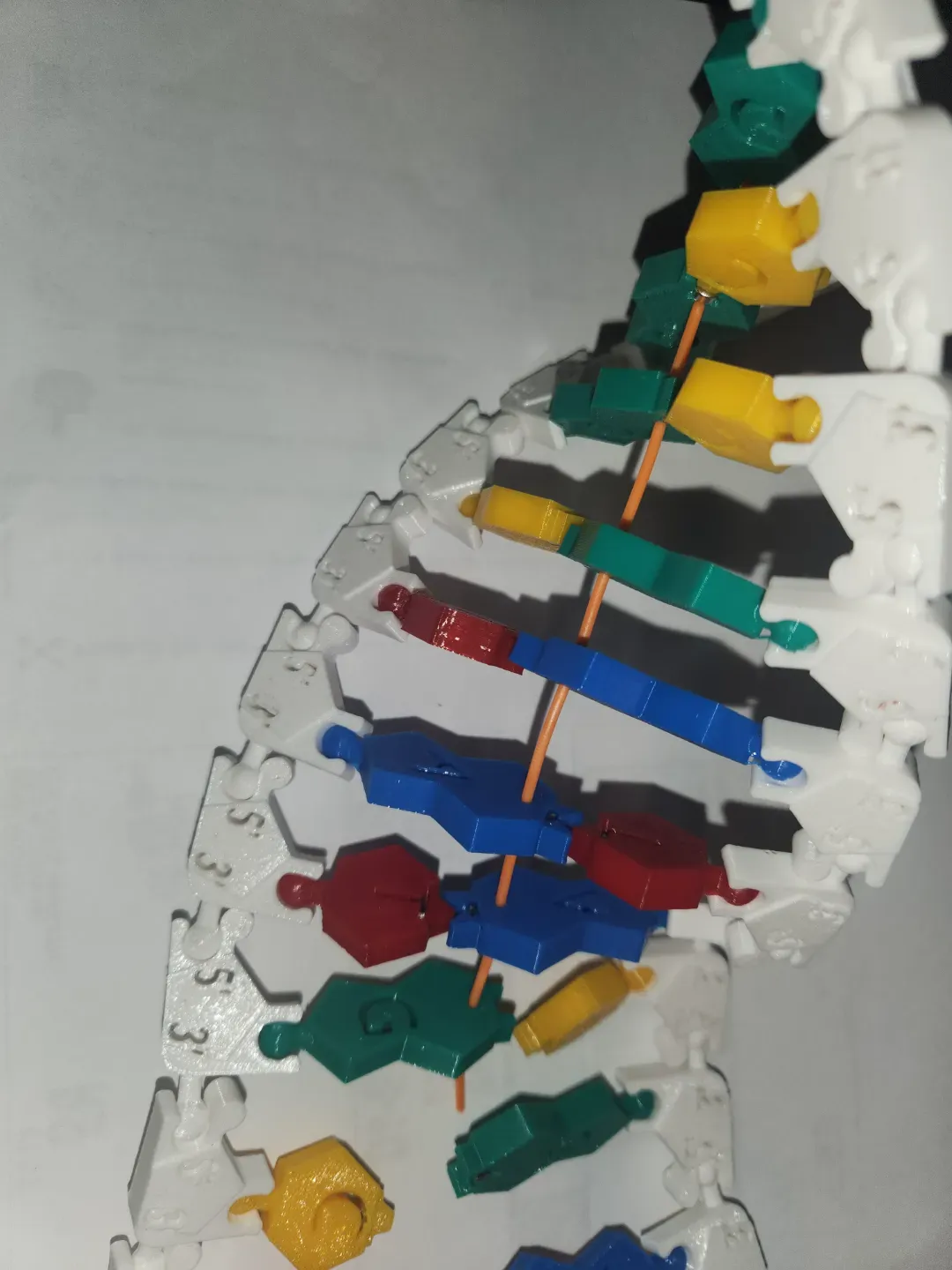 Spooky mutation possible DNA/RNA Magnetic model kit activity