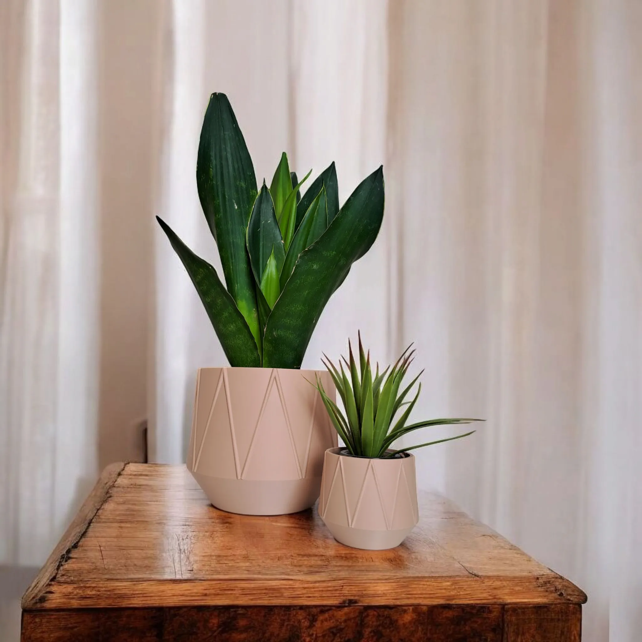 A Geometric Planter for Flowers, Plants, Succulents