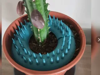 Protege plante