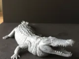 Nile crocodile-5