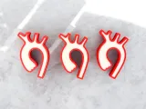 Magneti Aorta-3