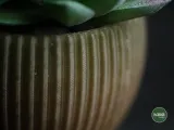 tundra · planter-2