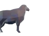 Low Poly Sheep-7