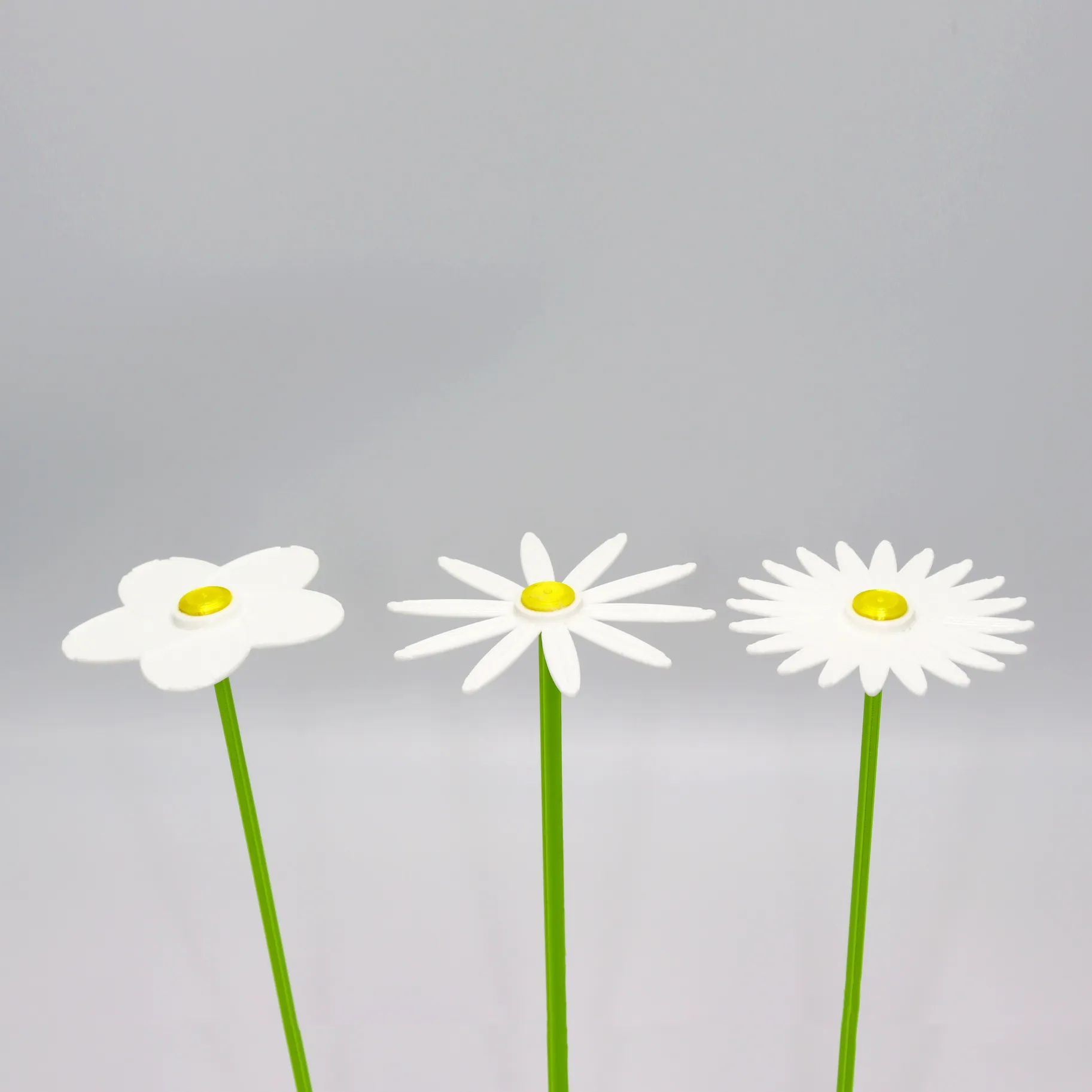 Paquet de fleurs 001