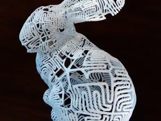 Aesthetic Bunny