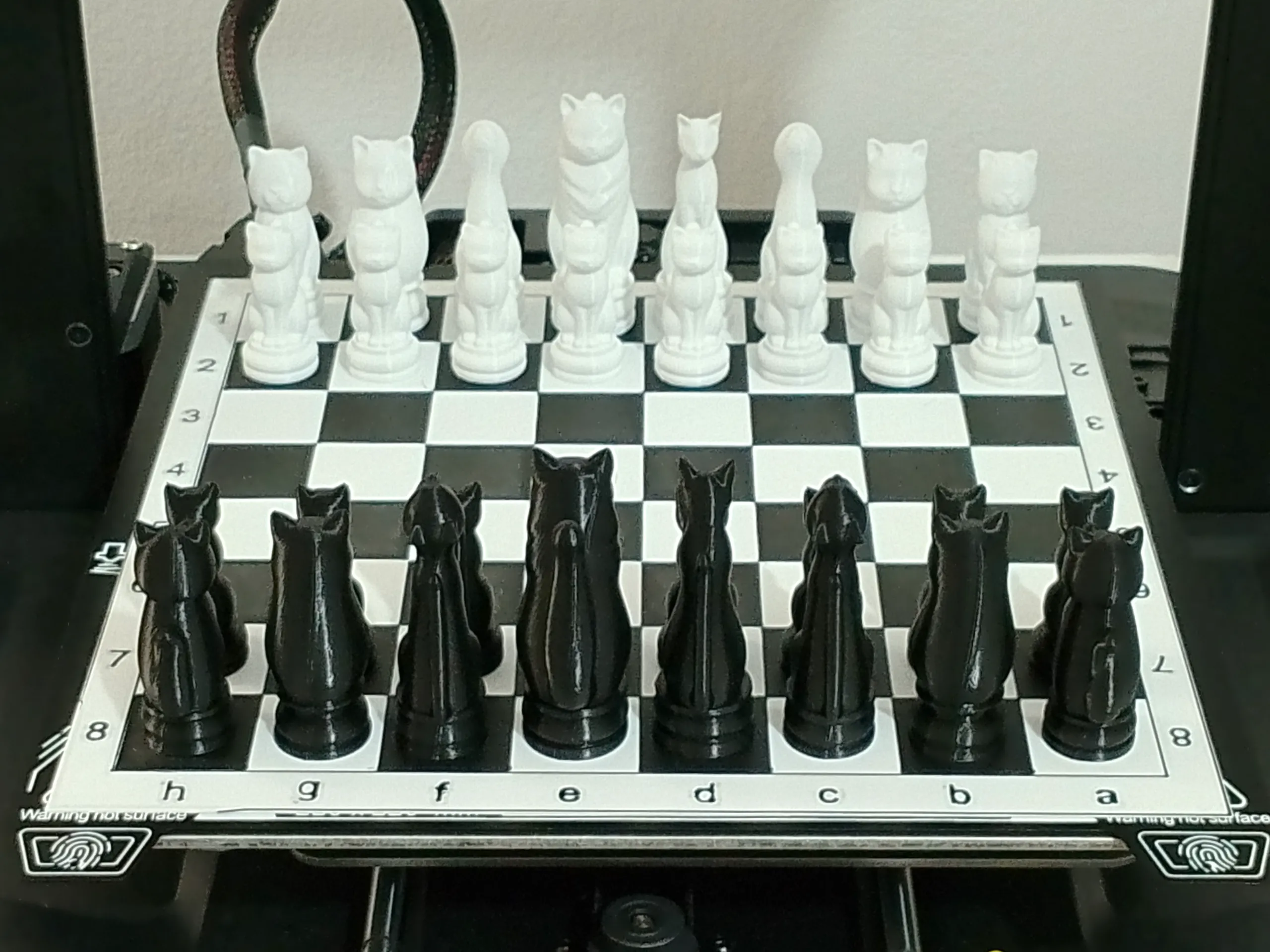 Cat Chess - Battle for Land-0