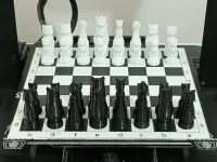 Cat Chess - Battle for Land-0