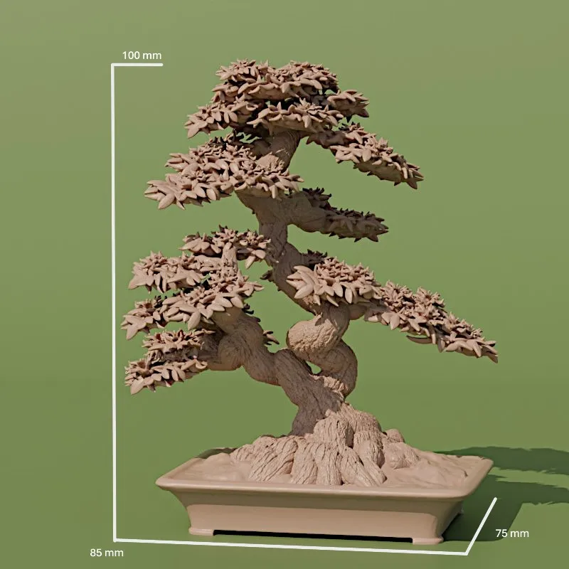 bonsai tree 8. azalia