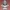 monkey ape bust statue - 3D print file