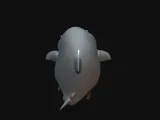 Shark Cute-1