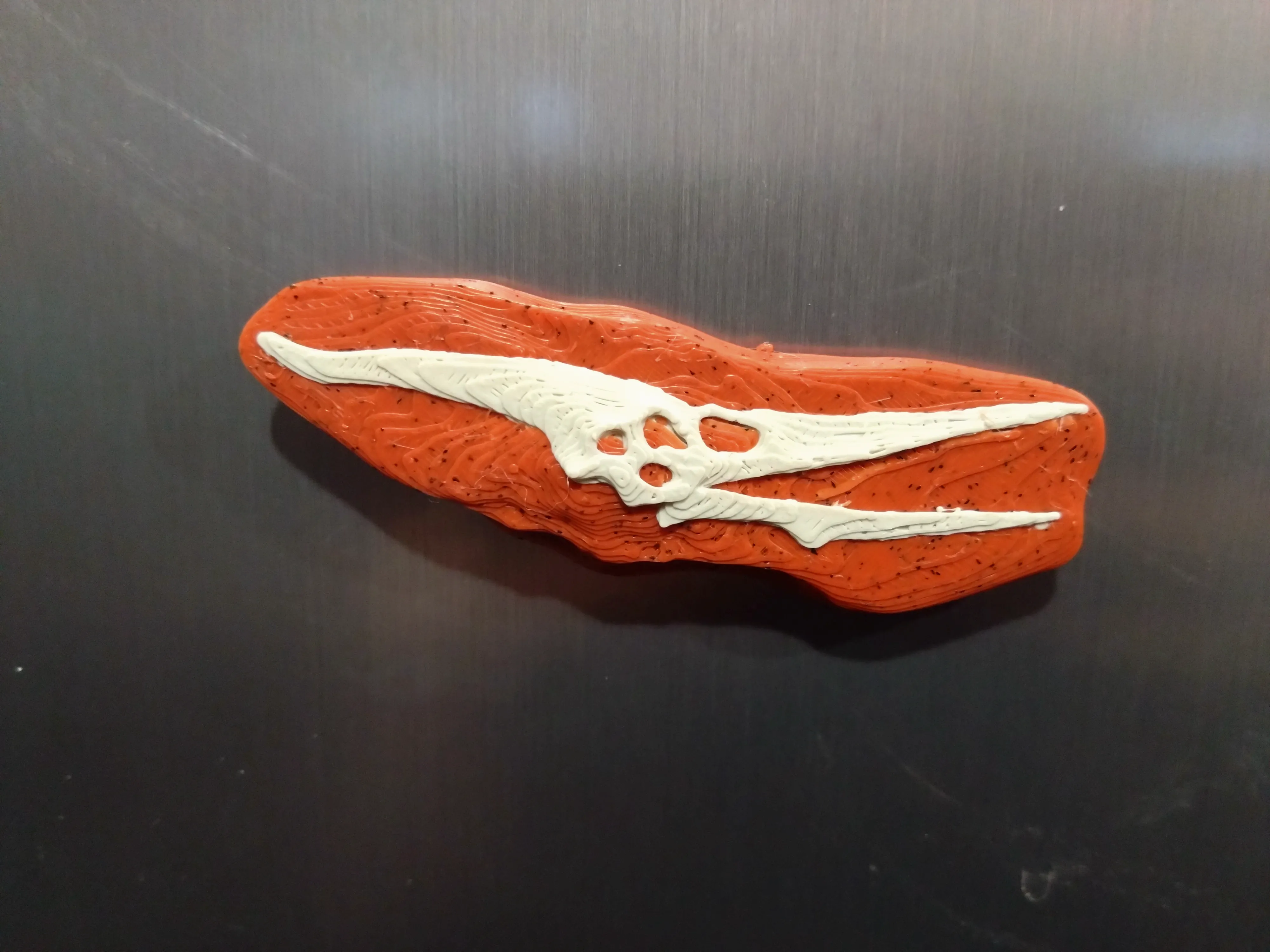 Dinosaur Fossil Skull Magnets