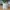 Sea Foam Summer Pot and Planter - Vase mode