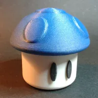 super mushroom container-2