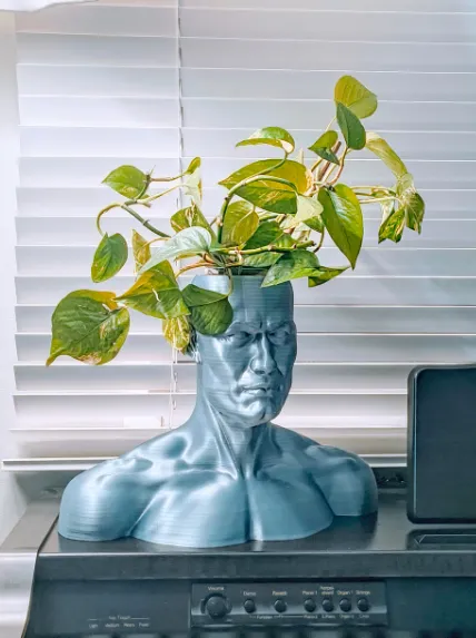Human Head Plant Pot