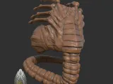 Aliens Romulus Face Hugger 3D DIGITAL DOWNLOAD-2