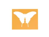 Stencil-0