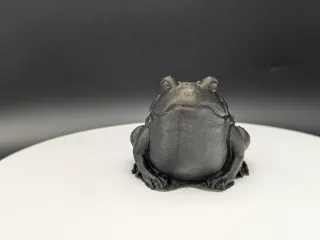 Frog - Swamp