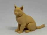 猞猁-3