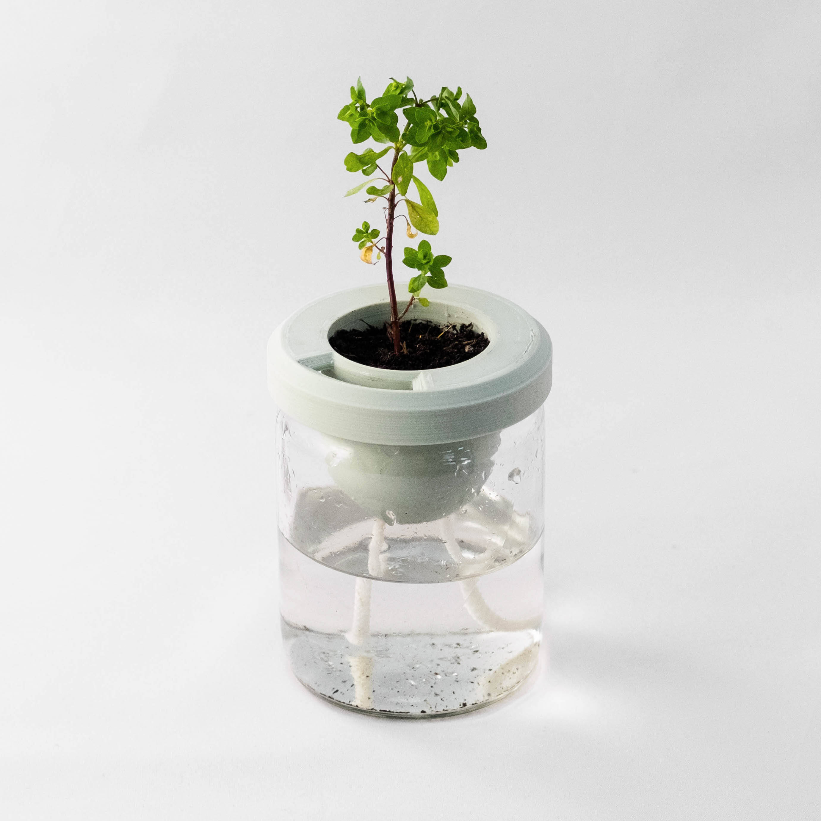 The self-watering upcycled pot