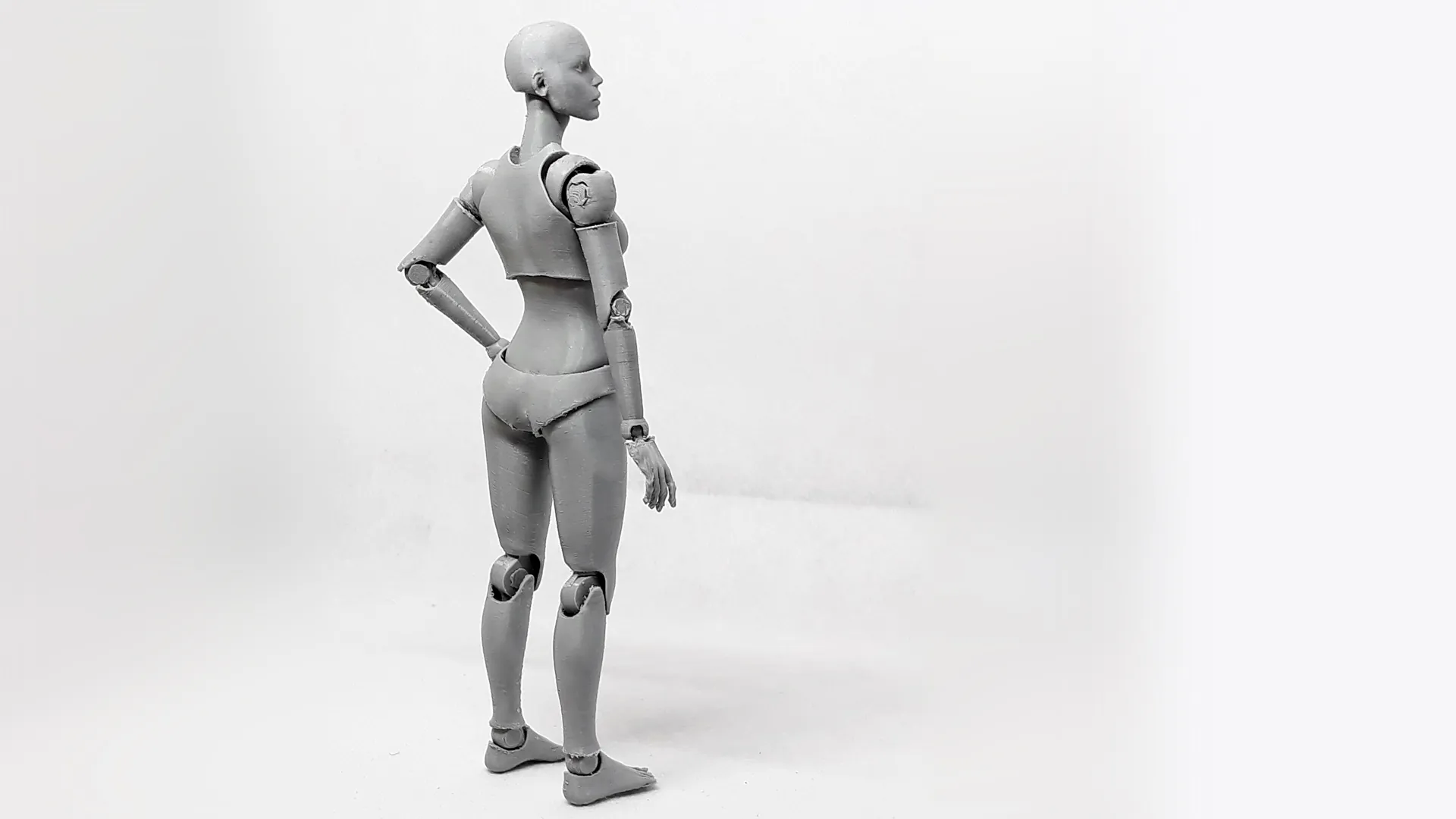 Lady Figure the 3D printed female action figure