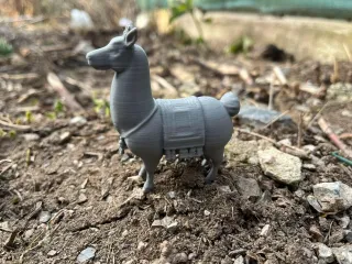 Saddled Llama