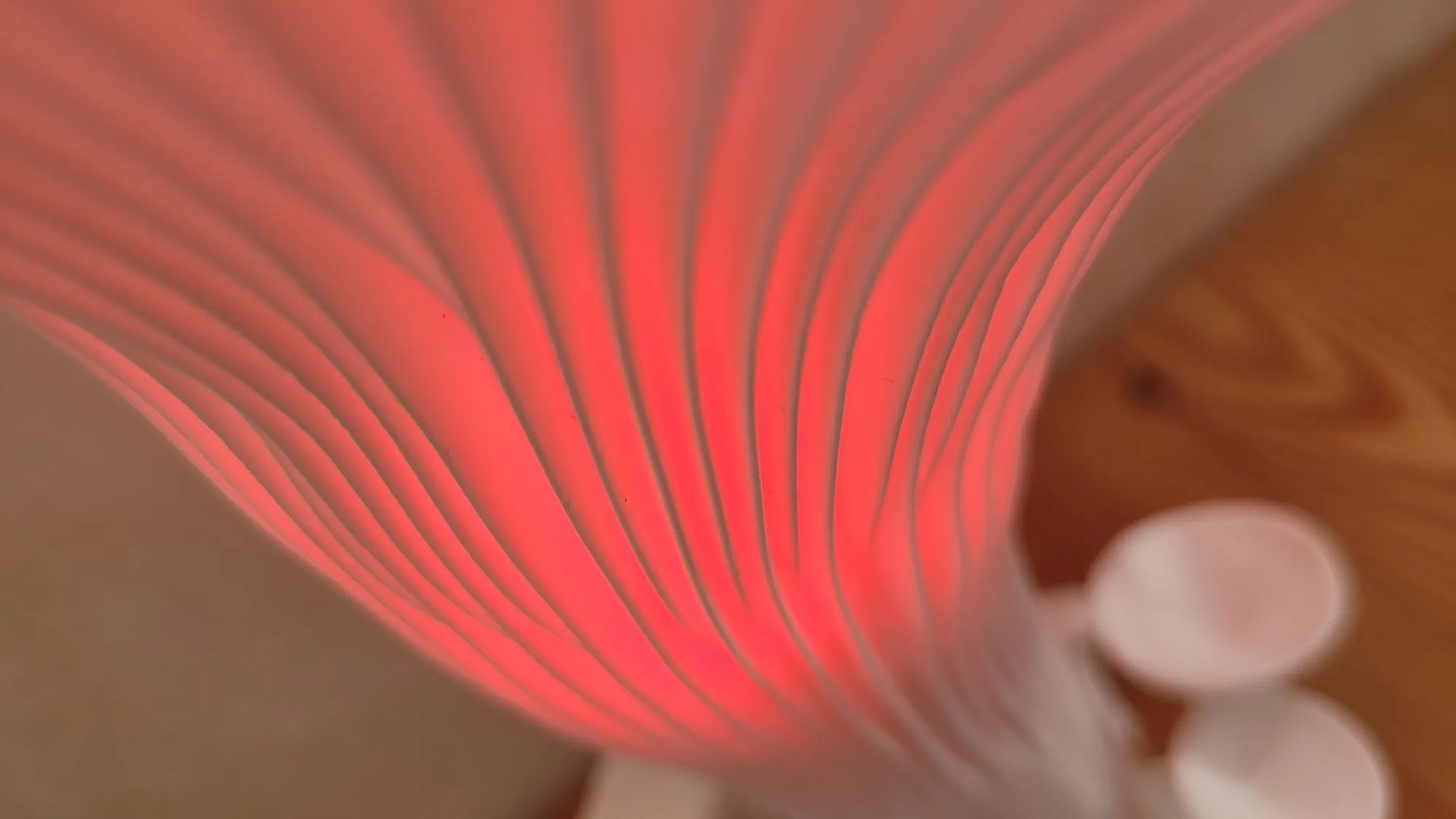 Glowing mushroom lamp