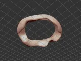 Melted Torus-0