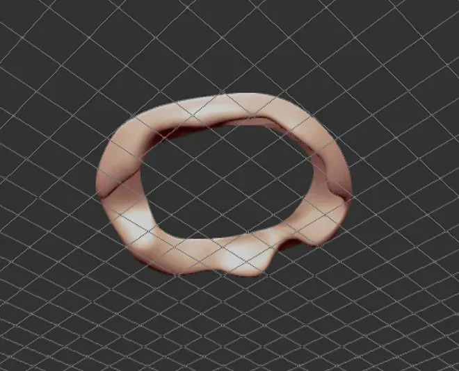 Melted Torus