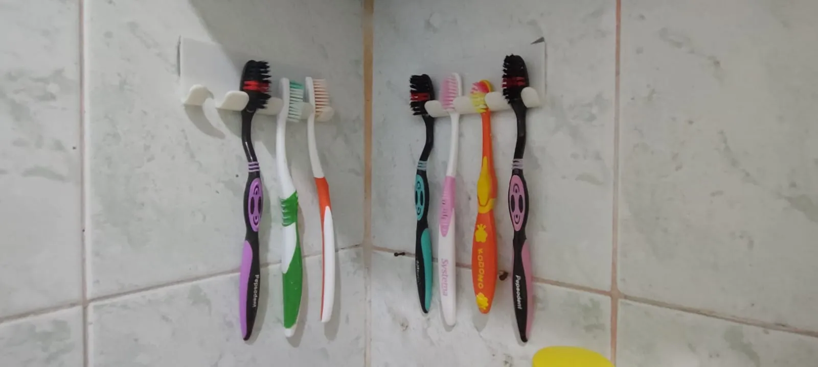 Portacepillos de dientes