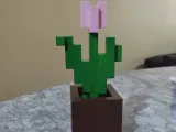 Minecraft Tulip-2