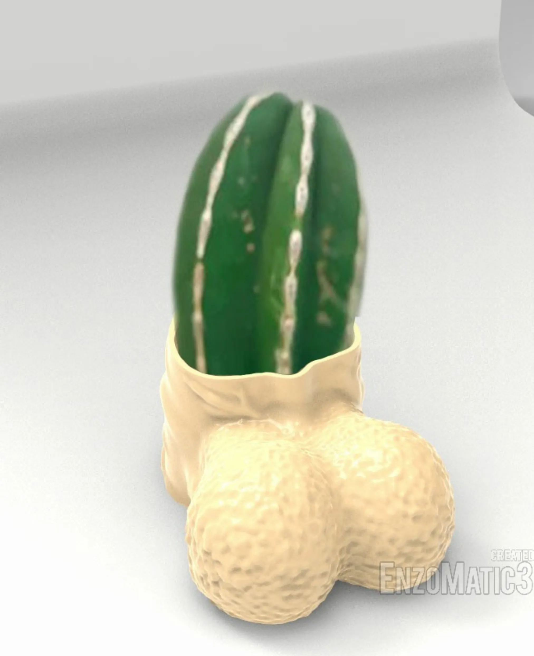 cock pot male body planter pencil holder STL