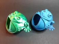 Frog keeps jewelry (not support)-2