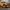 Ford Bronco 2021 STL
