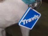 Dog Tag No Name-1