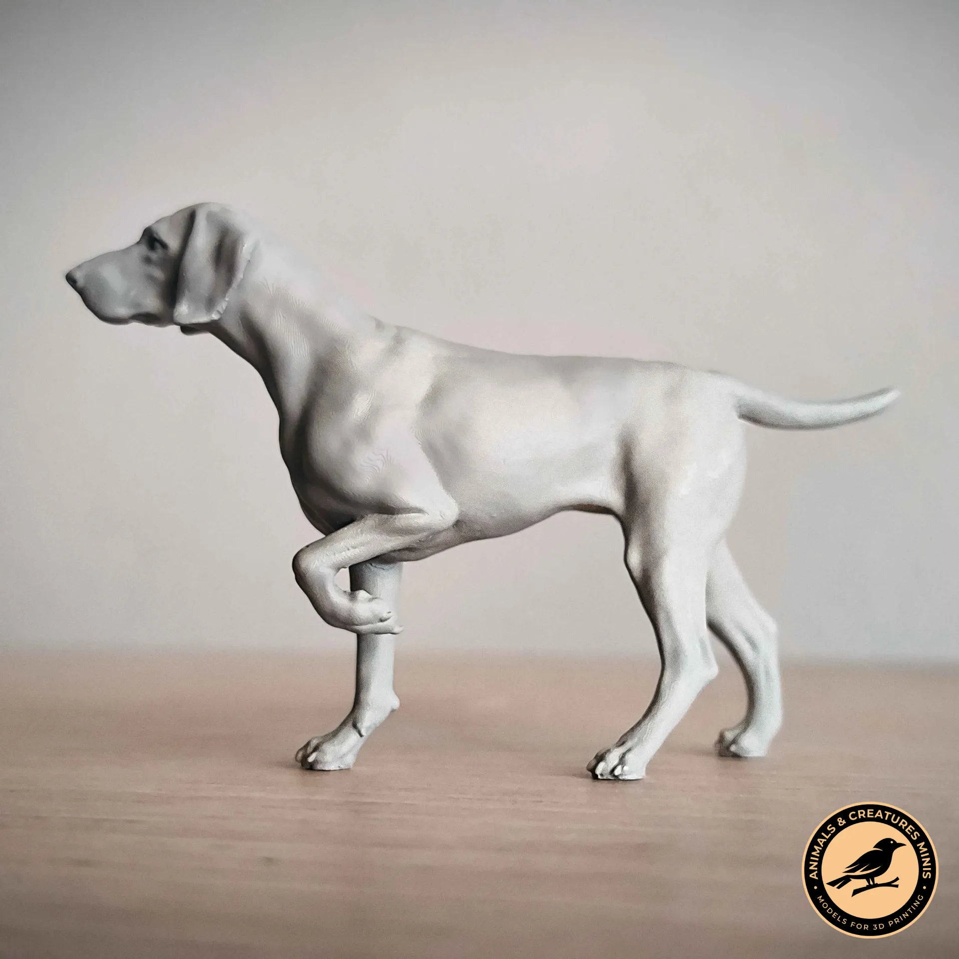 German Shorthaired Pointer