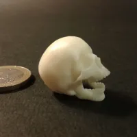 Punk skeleton-1-6