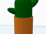 CACTUS_CALSADO-1
