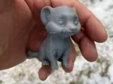 Cute Ferret-2
