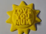 Mums Magnets-4