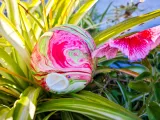 Easter eggs (Hydro-Dipping)-6