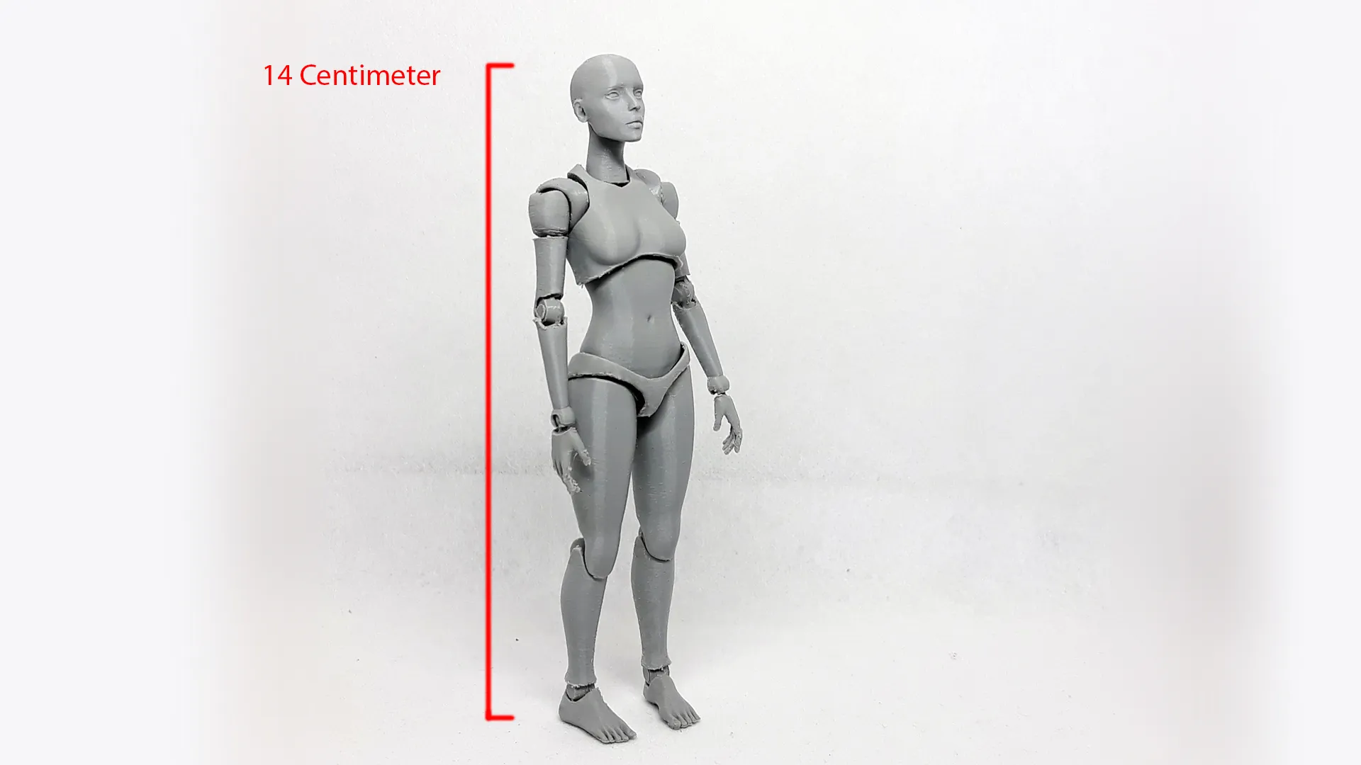 Lady Figure the 3D printed female action figure