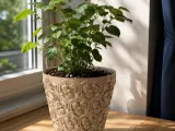 FLOWER POT-1