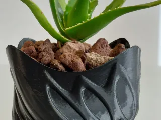 Pot Interior Decor O