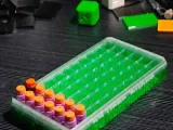 66 NERF SHORT Dart Storage Box-2