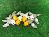 Mini Cockatiel-6