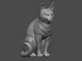 Cat-1