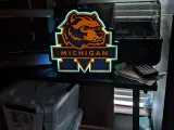 Michigan Lightbox-0