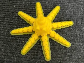Pooctopus
